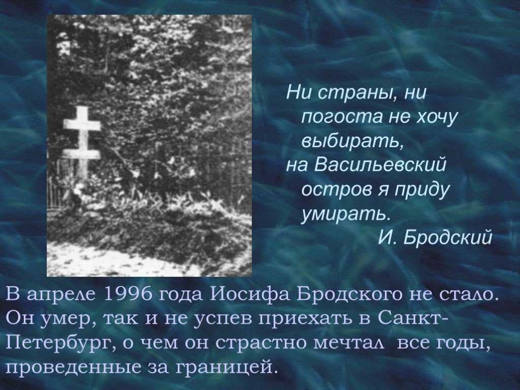 Ни страны, ни погоста - сергей плышевский