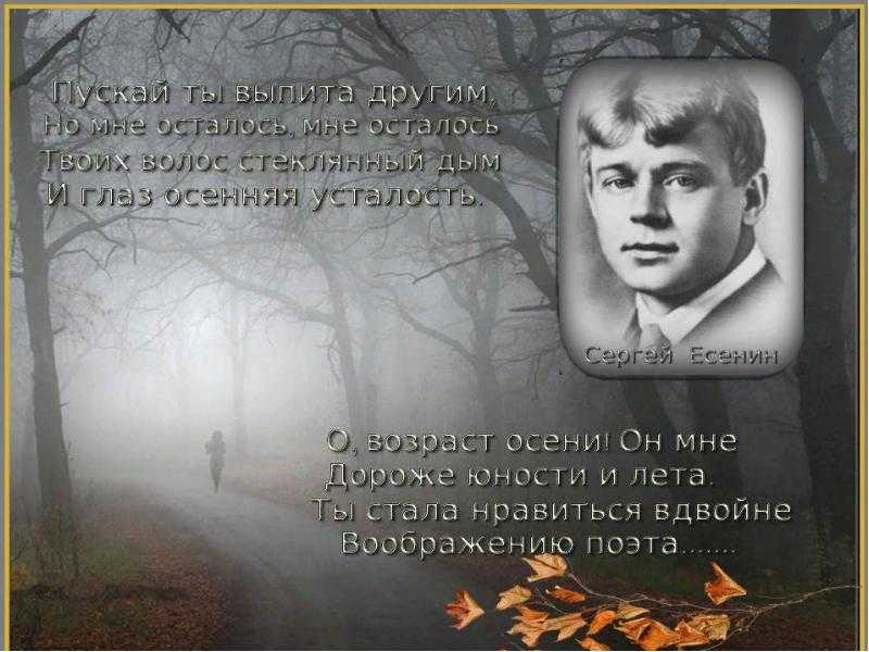 Анализ стихотворения есенина мы теперь уходим понемногу