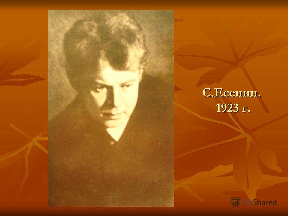 Анализ стихотворения неуютная жидкая лунность есенина. есенин сергей - неуютная, жидкая лунность