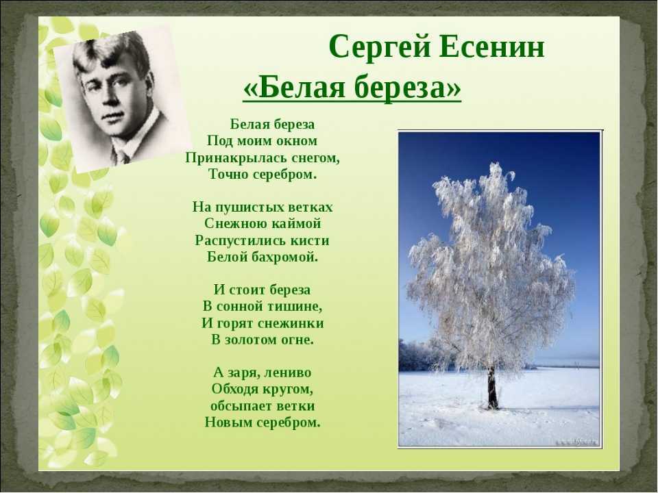 «весна на радость не похожа…» с. есенин