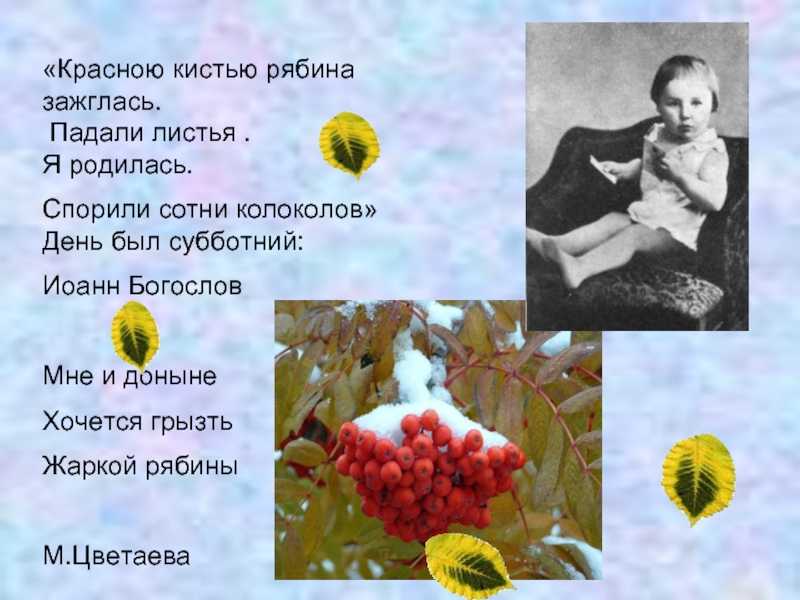 Анализ стихотворения цветаевой «красной кистью…» | airylife.ru