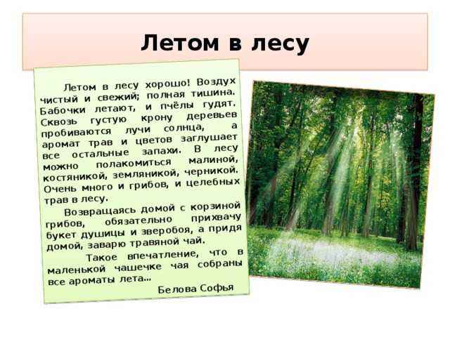 Статусы про лето зимой