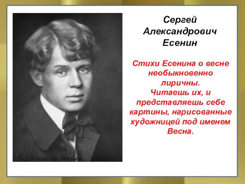 Читать онлайн «белая береза под моим окном…», сергей есенин – литрес