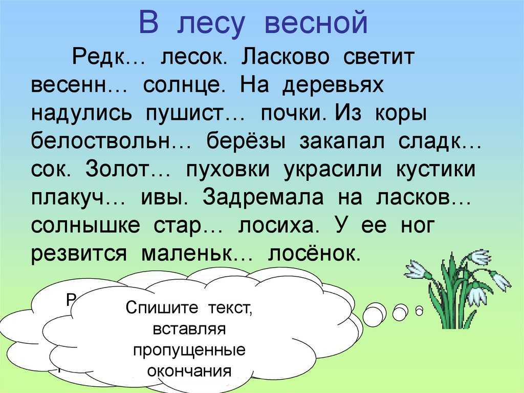 В лесу текст 8 класс русский. Рассказ про лес весной. Сочинение на тему весенний лес. Текст весной в лесу.