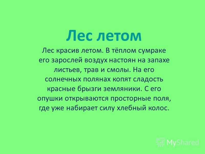 Прогулка по лесу сочинение