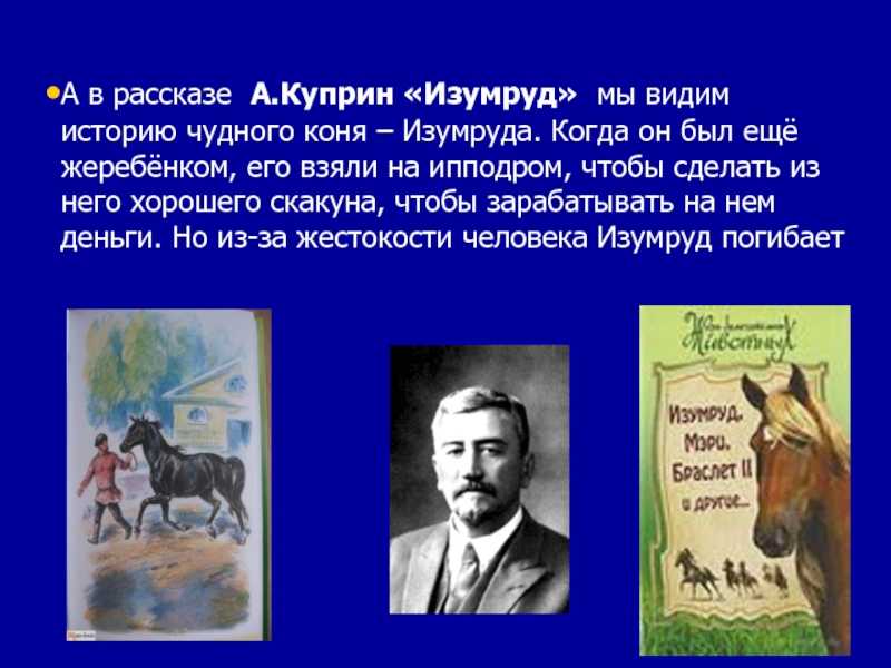 Куприн о природе и животных 5 класс. Изумруд лошадь Куприн. А Куприн изумруд пересказ для читательского дневника. Куприн а.и. "изумруд". Произведение изумруд Куприн.