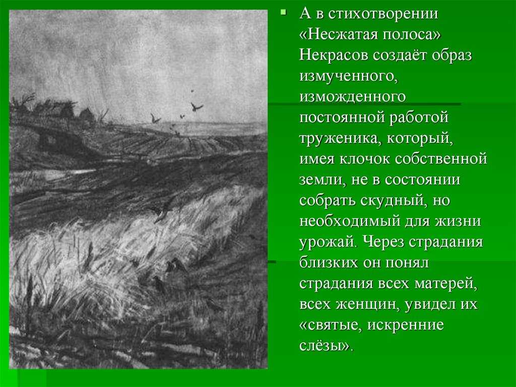 Н некрасов стих "несжатая полоса" 😢 - текст и анализ элегии - блог stihirus24