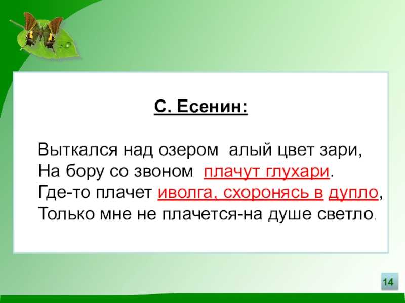 Плачет где то иволга схоронясь. На Бору со звонами плачут Глухари Есенин. Есенин Выткался на озере алый свет. Выткался на озере алый свет зари на Бору со звонами плачут Глухари.