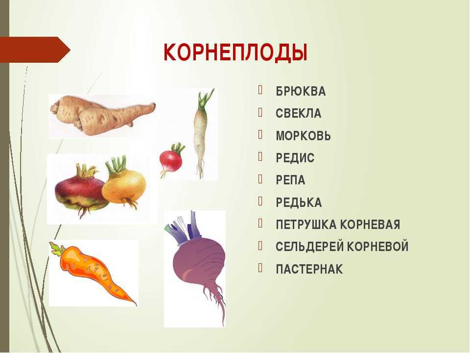 Дразнилки и дурацкие стишки