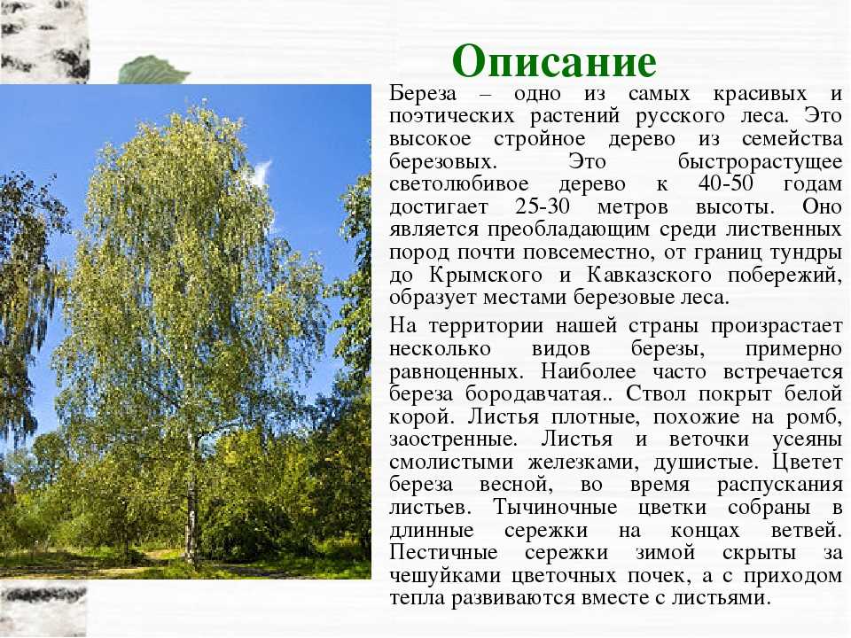Разработка урока комплексный анализ текста