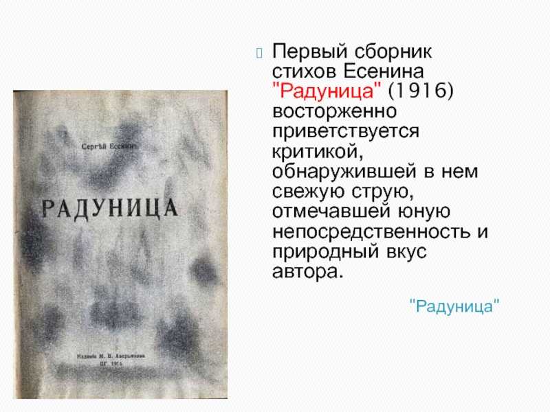 Сергей есенин. стихи