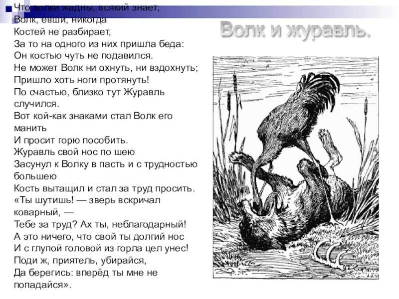 Иван крылов ~ волк и журавль