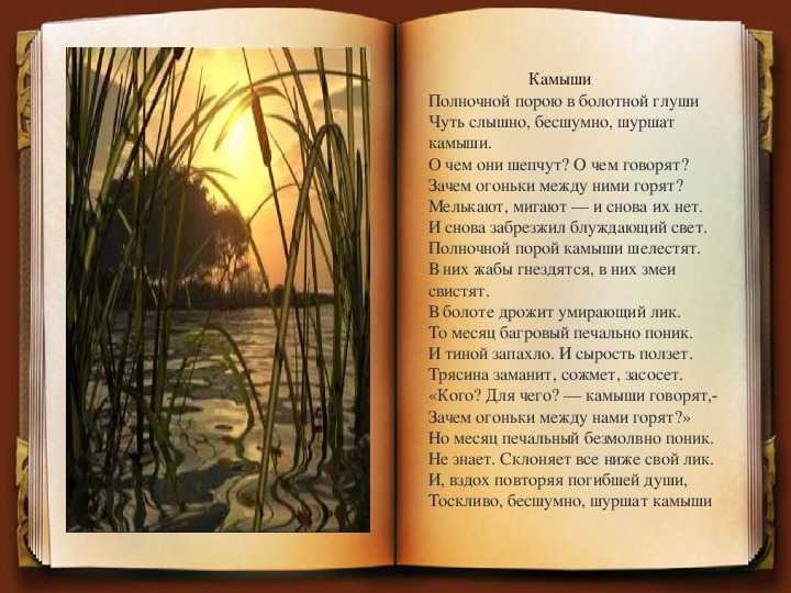 Анализ стихотворения константина бальмонта «камыши»????