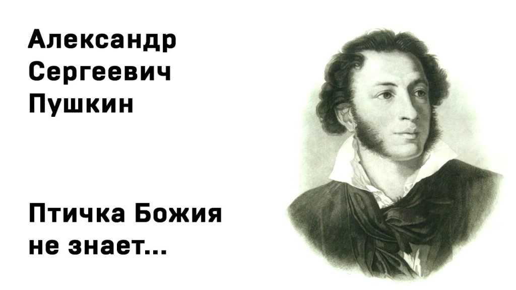 Краткий анализ стихотворения "птичка божия не знает..." по плану