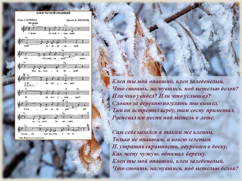 😢 клен ты мой опавший, клен заледенелый