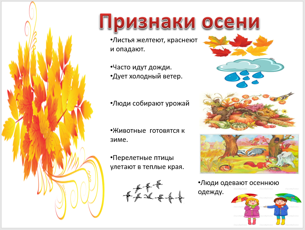 Красивые слова об осени золотой в прозе