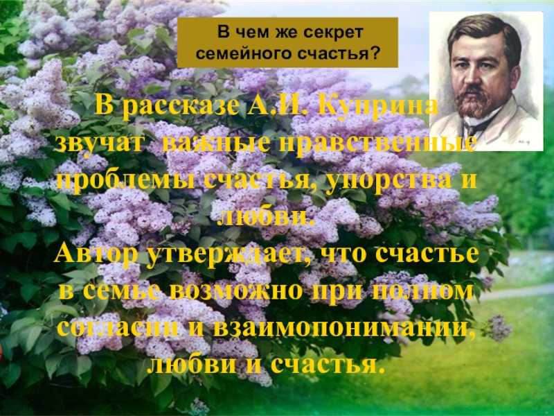Вера из рассказа куст сирени. сочинение по рассказу куприна «куст сирени» на тему «счастлива ли вера алмазова? несколько интересных сочинений