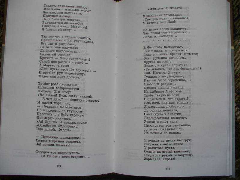 Песня русь кому на руси жить. Русь Некрасов. Русь стих Некрасова. Николай Некрасов Русь. Николай Некрасов Русь стих.