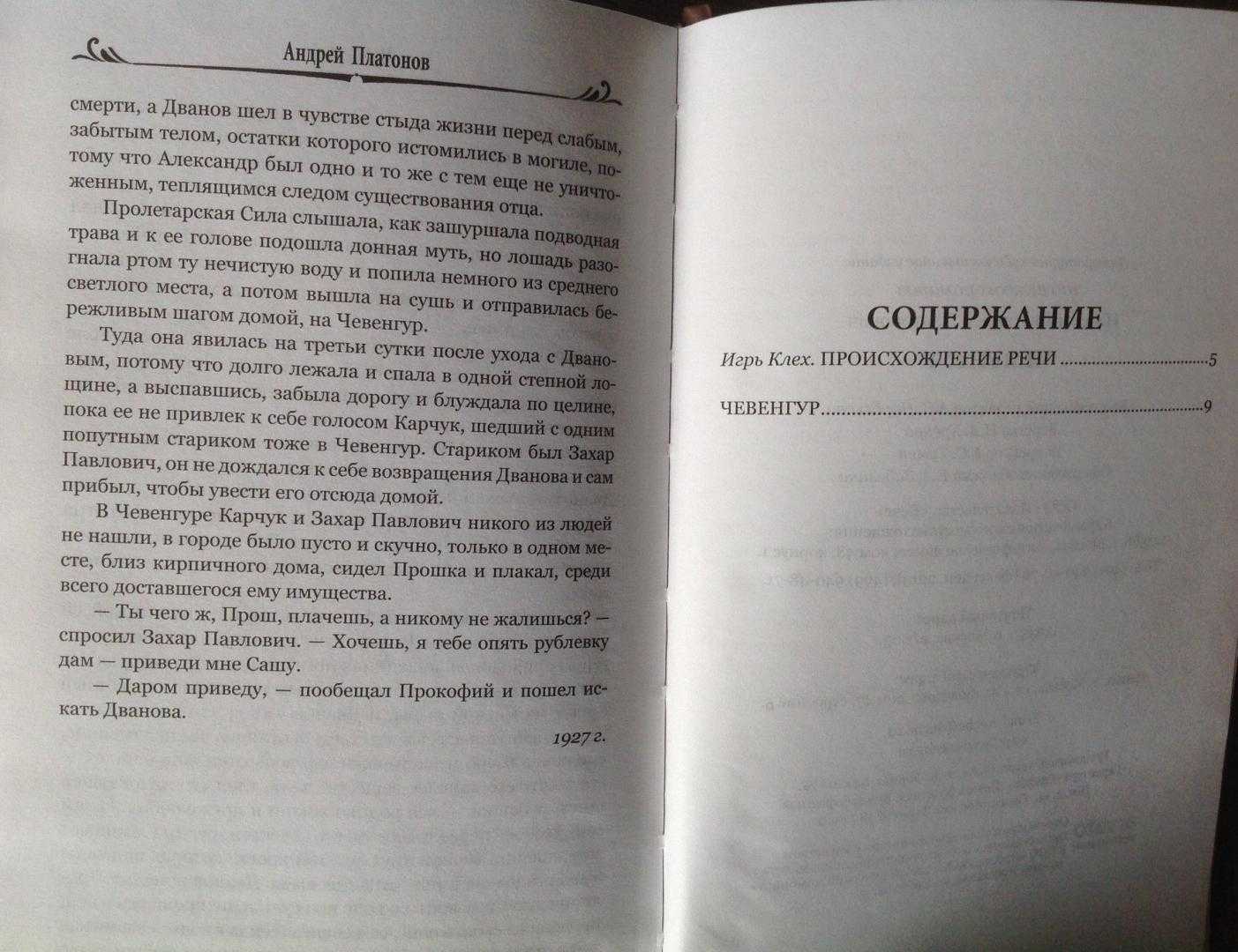 Чевенгур краткое содержание анализ