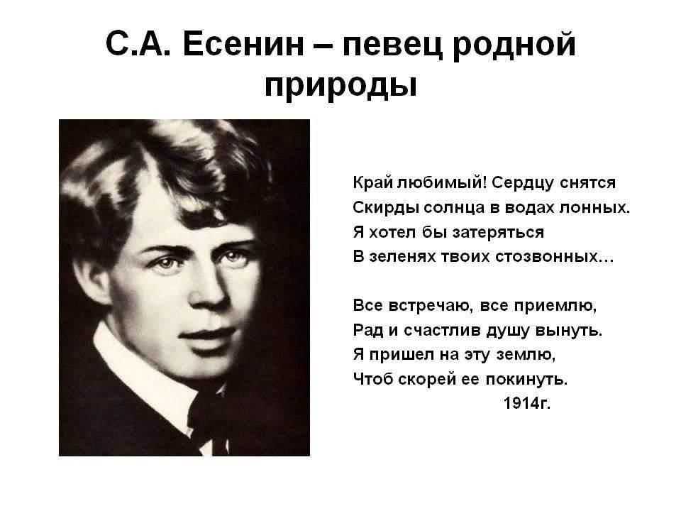 «прощай, родная пуща…» сергей есенин: читать текст, анализ стихотворения