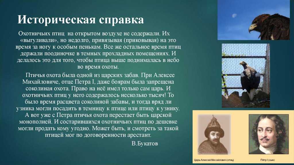 Определите жанр произведения а с пушкина узник. Стихотворение узник. Анализ стихотворения узник.