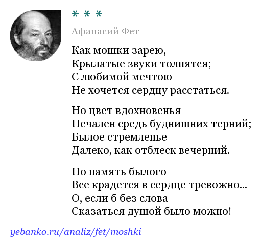 Лирика фета, основные темы и мотивы