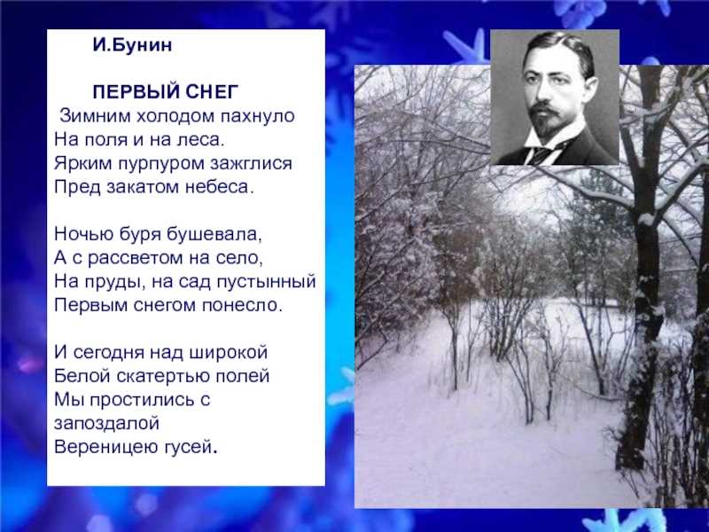 Пётр вяземский - первый снег