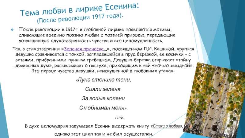 Краткий анализ стихотворения есенина «заметался пожар голубой…» по плану