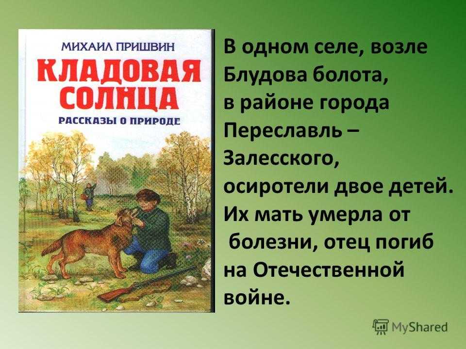 Презентация, доклад по литературе на тему