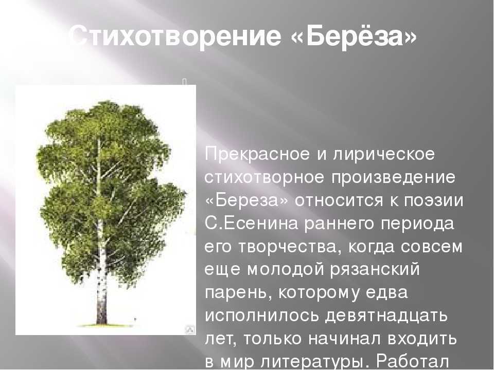 Презентация на тему александр трифонович твардовский