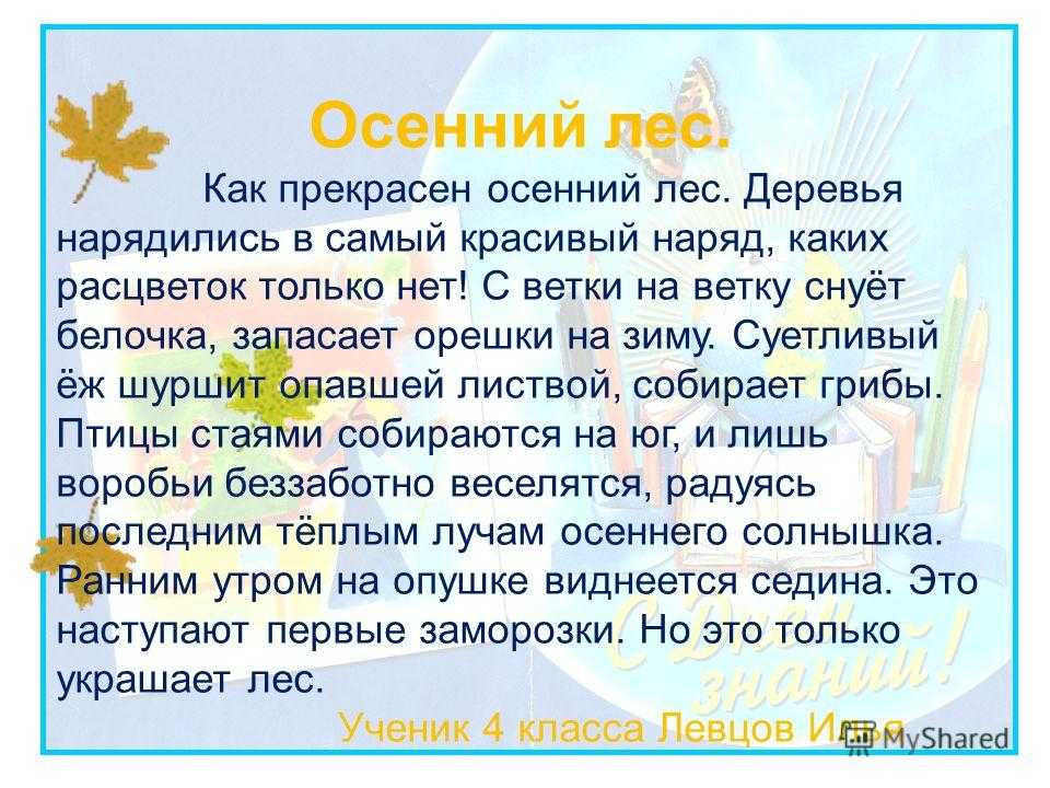Почему леса так важны для нашей планеты? - hi-news.ru