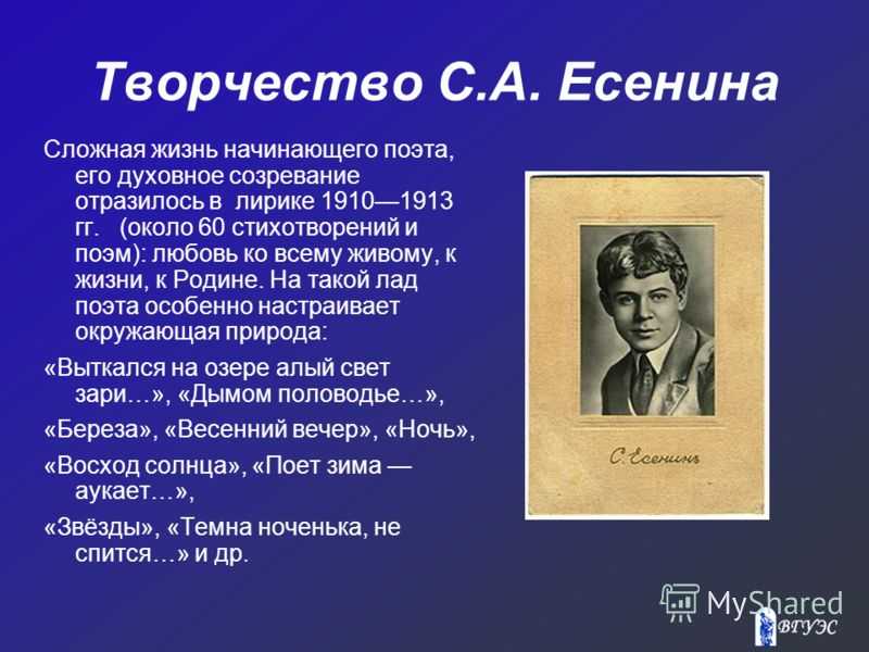 Драматизм судьбы поэта с а есенин. Творчество Есенина. Творчество Сергея Есенина. Жизнь и творчество Есенина. Поэзия Есенина.