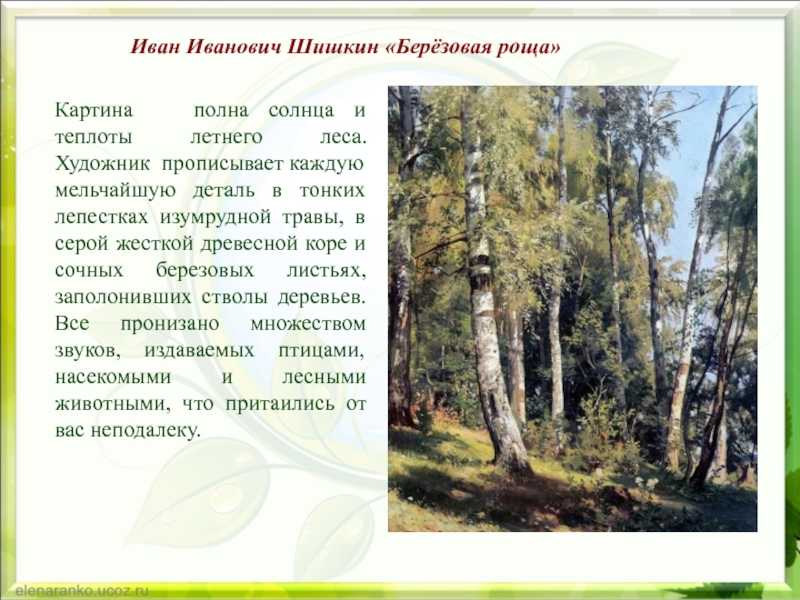 Сочинение на тему лес летом