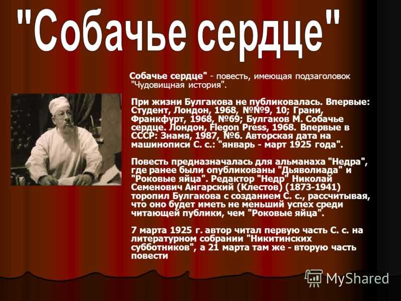 Анализ жанрового своеобразия литературного произведения собачье сердце по плану