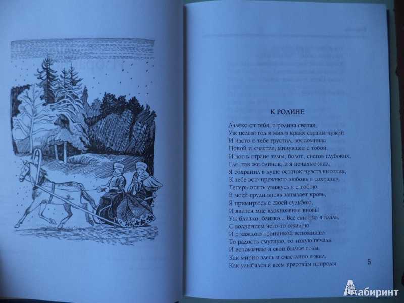 К какому виду лирики относится стих-ие а. апухтина «день ли царит, тишина ли ночная…»