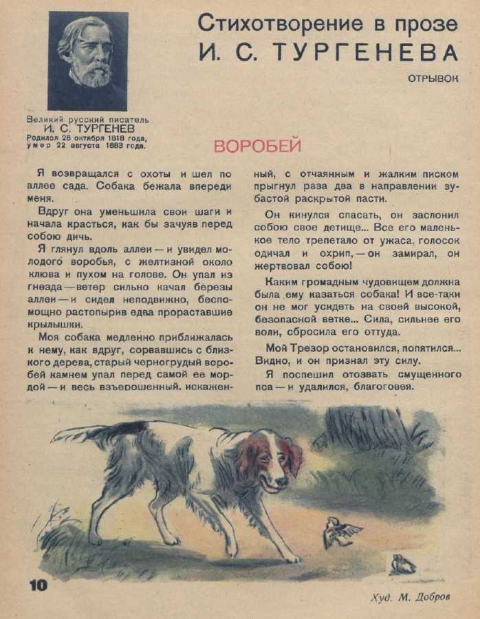 Стилистический анализ стихотворения в прозе и. с. тургенева «собака»