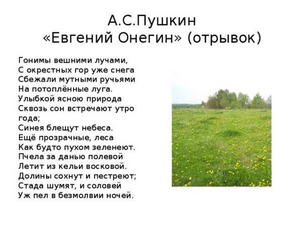 Стихи пушкина о весне | короткие стихи пушкина для детей, школьников 5 кл и взрослых