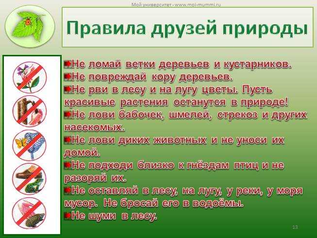 Цитаты про природу: статусы и фразы о красоте природы