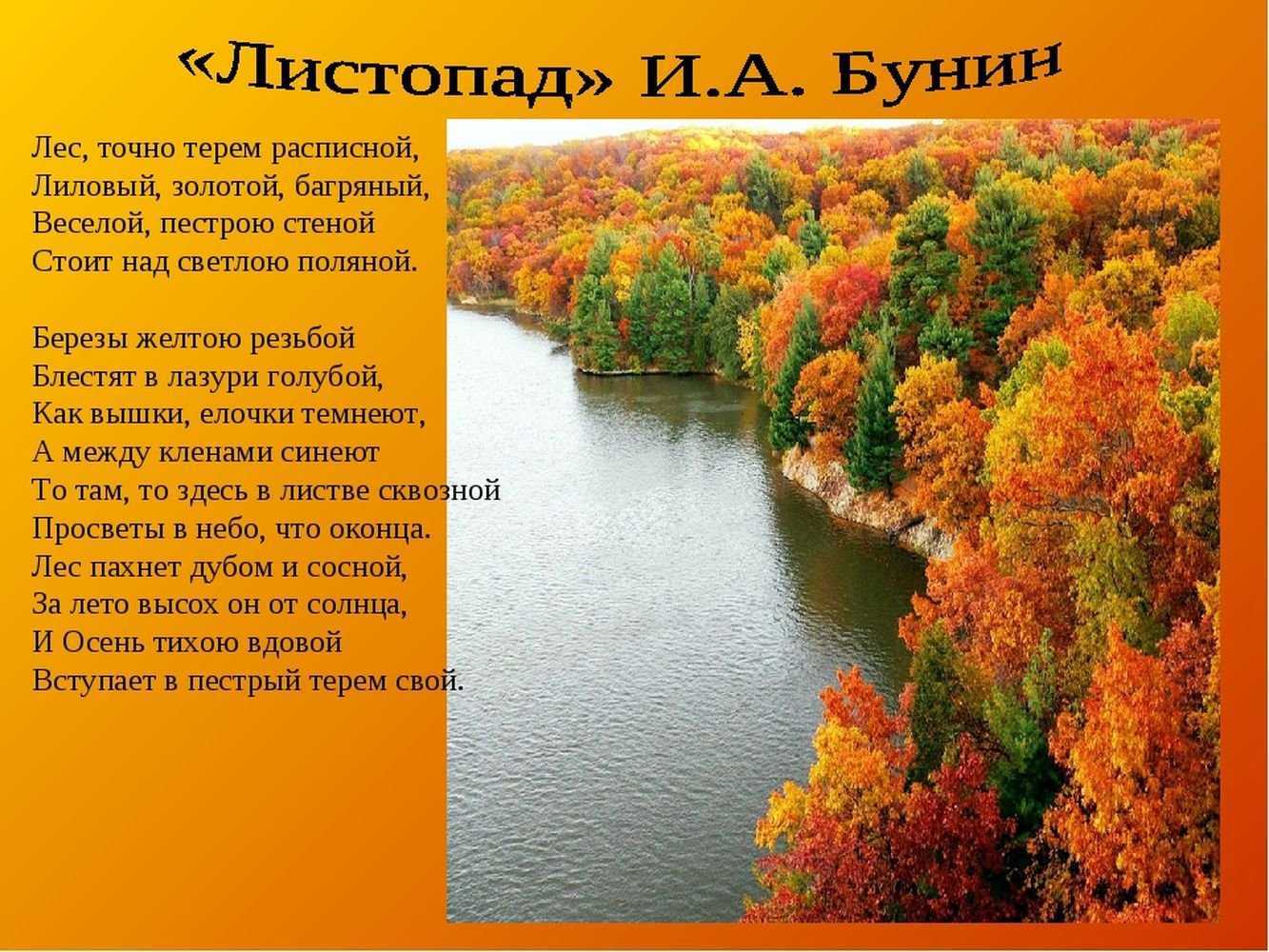 И бунин стих "осыпаются астры" 🍂 об осени и разлуке - текст и анализ - блог stihirus24