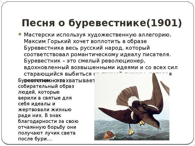 Замечательное анализ произведения песня о буревестнике горького сочинение