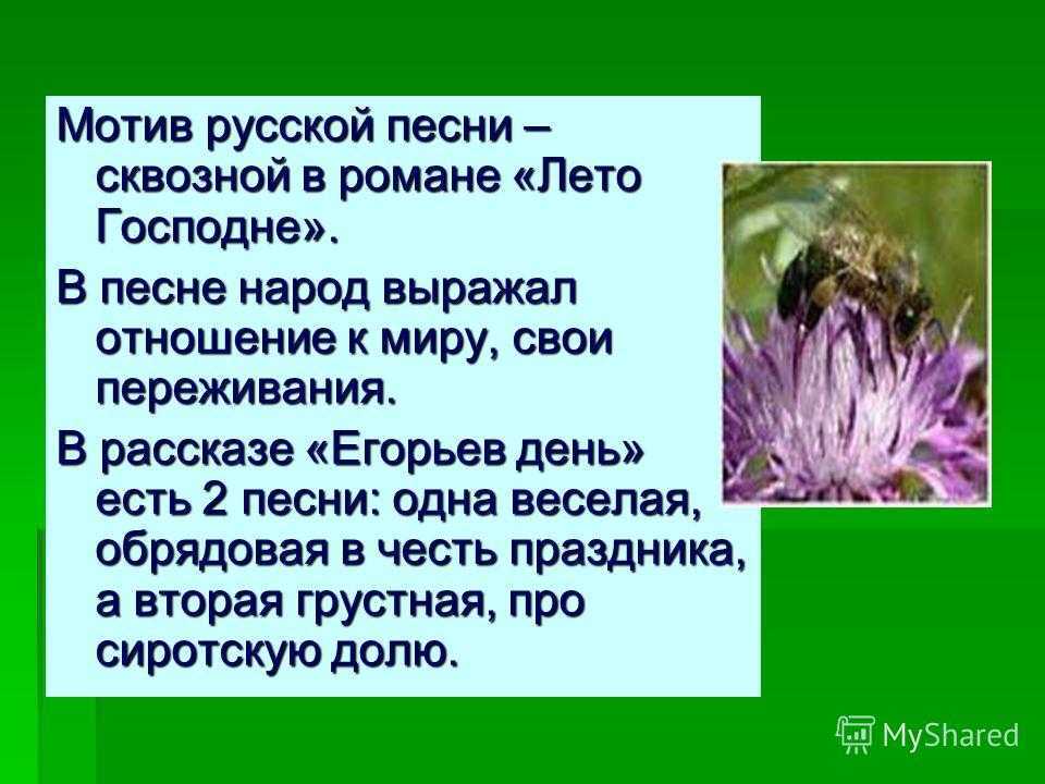 Эссе — что такое, как писать, сочинение эссе, примеры