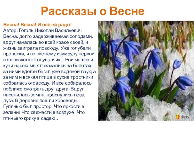 Сочинение на тему: моё любимое время года (5 вариантов и 4 похожих топика)
