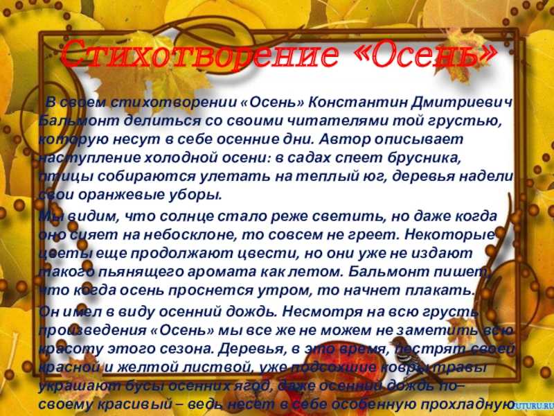 Как ясен август нежный анализ
