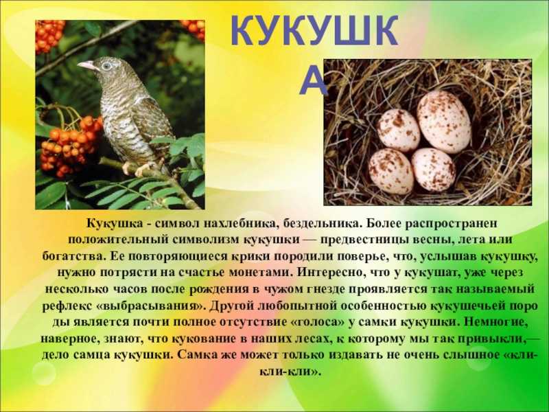 Стихи е. благининой для детей - более 20 стихотворений