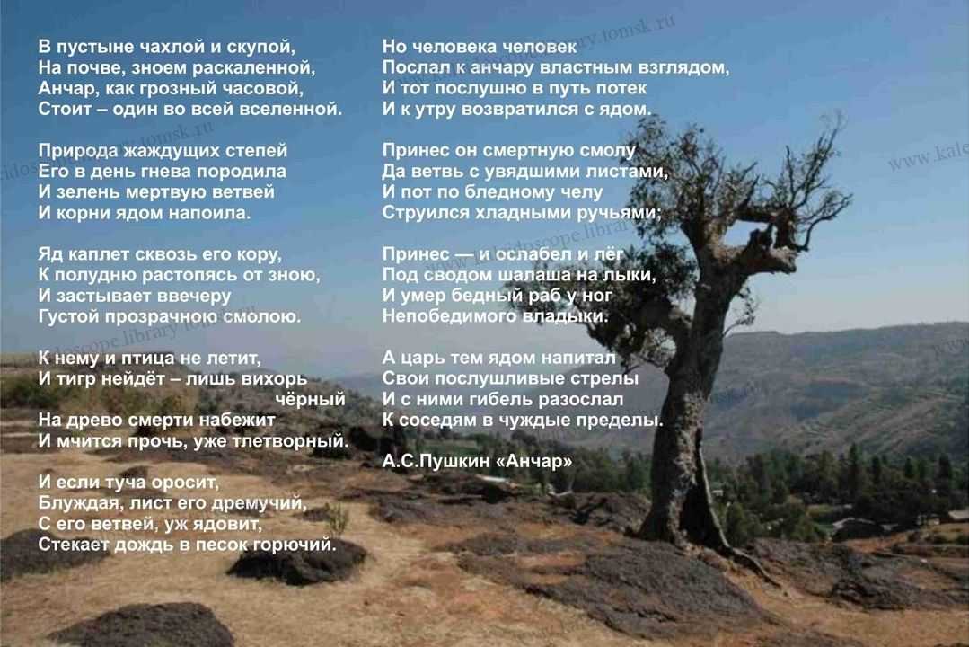 Анчар (стихотворение пушкина) — традиция