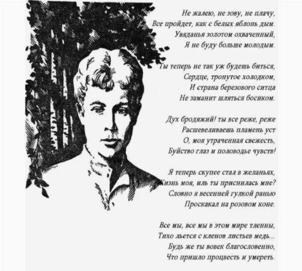 Звезды есенин. стихотворения