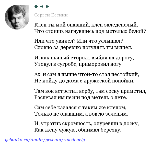 Клён ты мой опавший, клён заледенелый… — энциклопедия руниверсалис