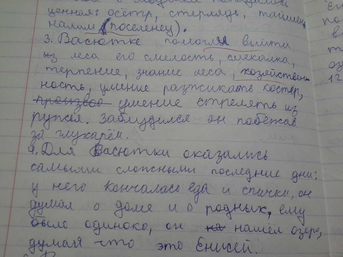 Сочинения по литературе - allsoch.ru