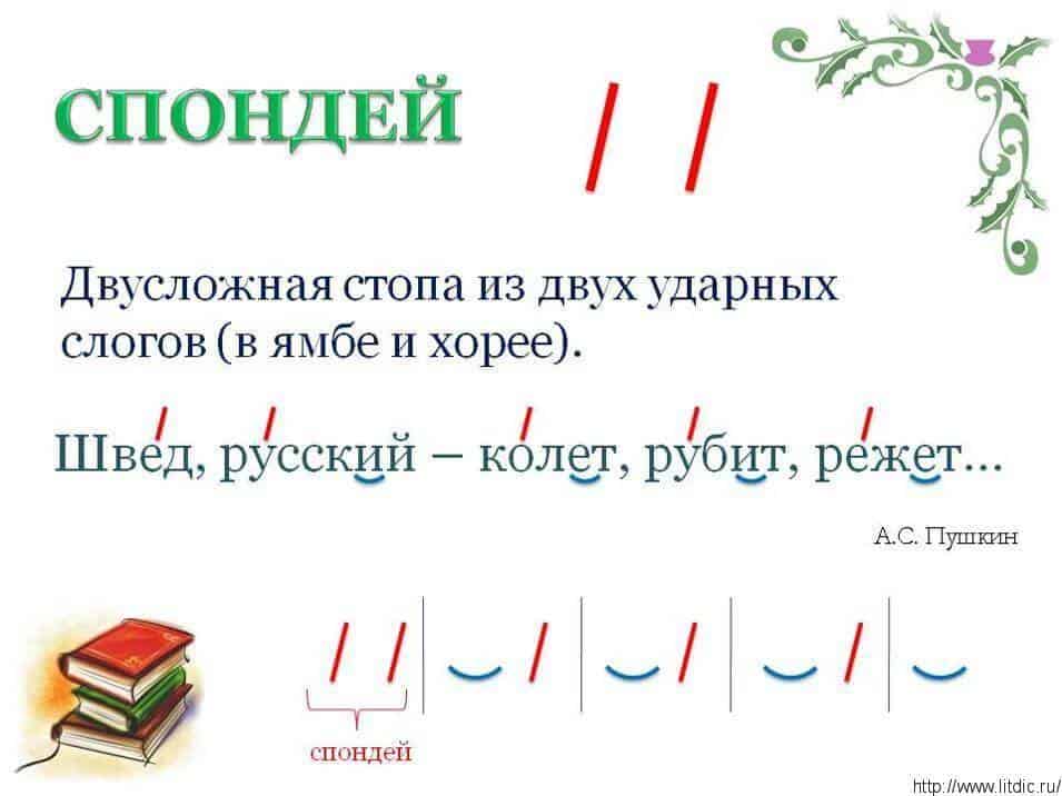 Основные понятия системы стихосложения. виды строф в лирике / справочник :: бингоскул