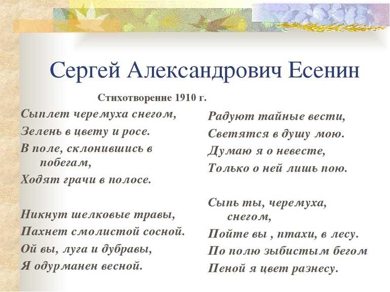 Анализ стихотворения Сыплет черемуха снегом Есенина